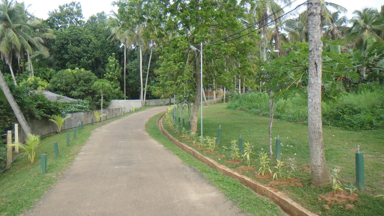 Ma Oya Retreat Pinnawala פינאוואלה מראה חיצוני תמונה