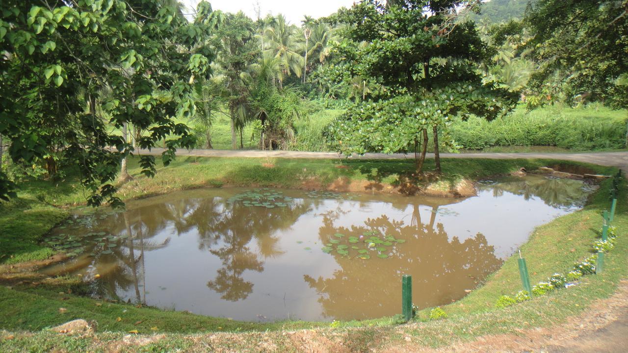 Ma Oya Retreat Pinnawala פינאוואלה מראה חיצוני תמונה