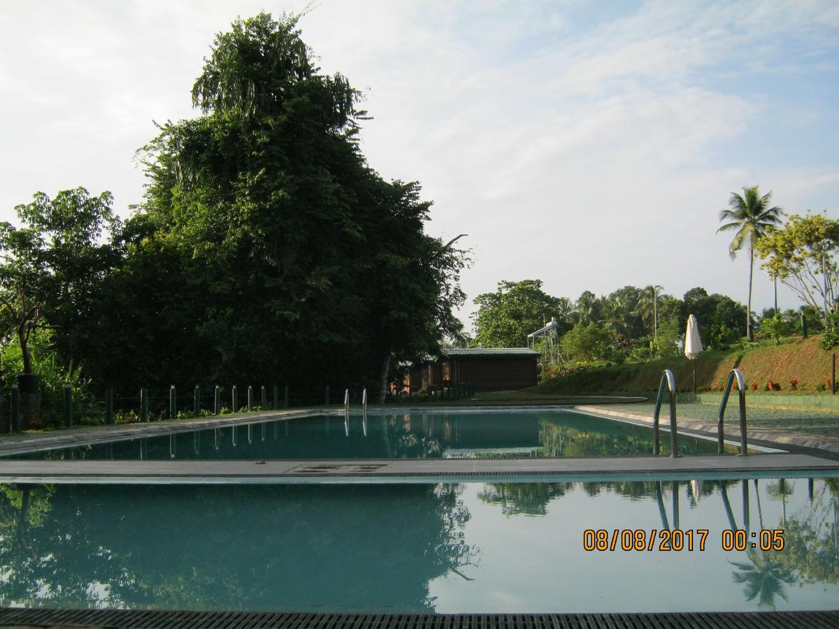 Ma Oya Retreat Pinnawala פינאוואלה מראה חיצוני תמונה